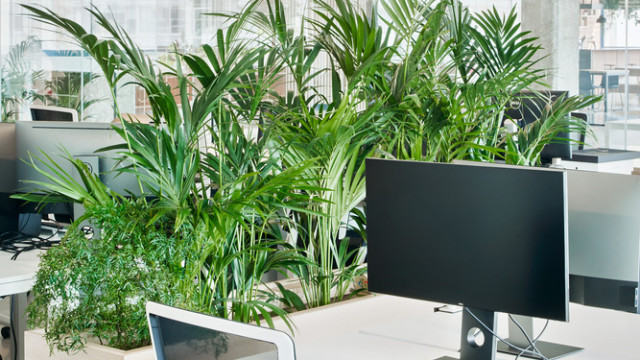 Trabajos realizados por Carpintería de Madera Arcoven Trabajos realizados por Carpintería de Madera Arcoven